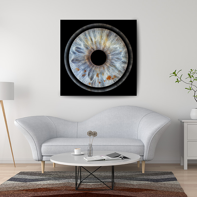 Metal-Print - Iris Project by Giannis Michis Photography-Φωτογράφιση ίριδας, Iris Photography, Iris Project, Giannis Michis Photography