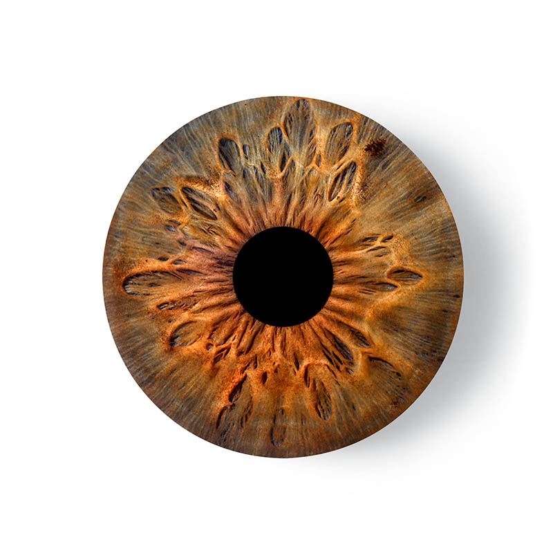 Circle Acrylic Frame Single - Product Solo