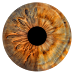 Slide-2-iris-Mich-Vasi-MIX-circle-min Slide 2 iris MIX